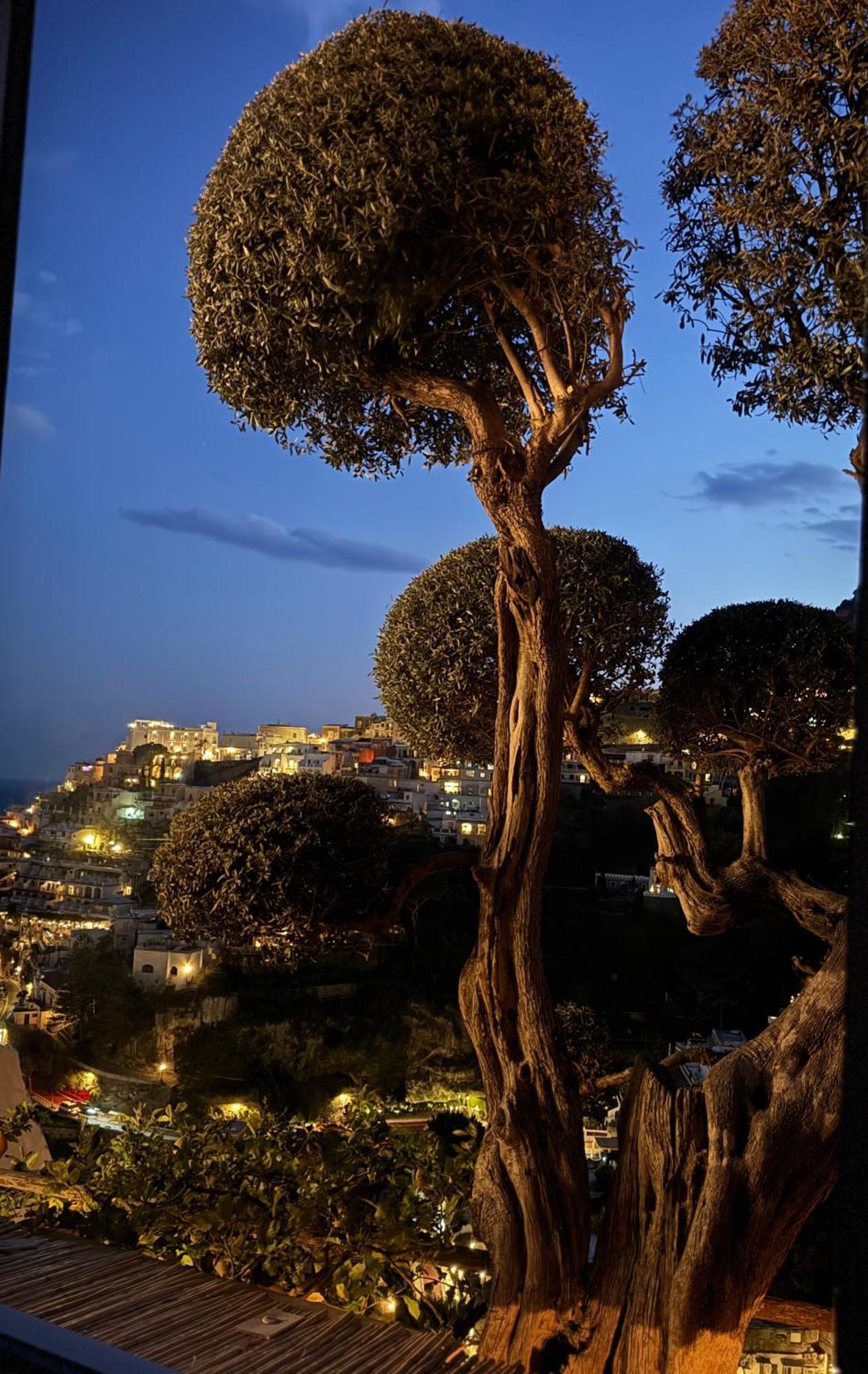 Villa Mary Suites Positano Extérieur photo